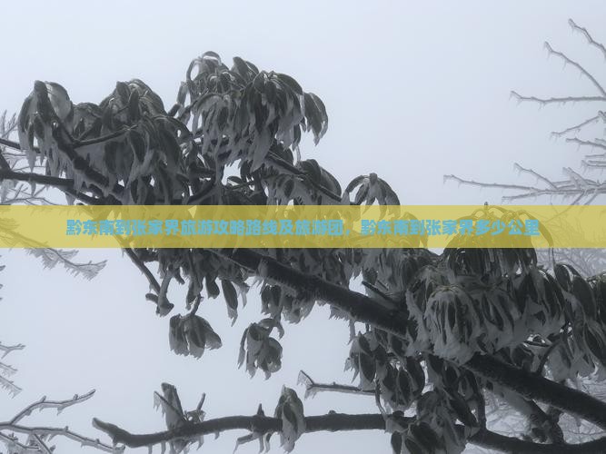 黔东南到张家界旅游