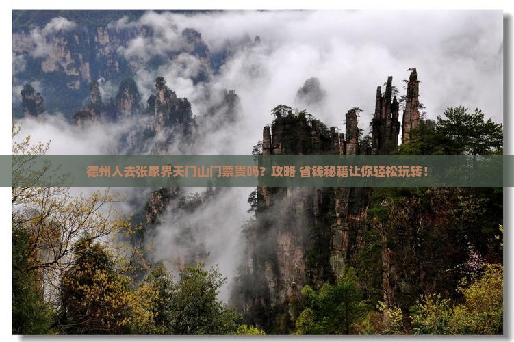 德州去张家界天门山门票