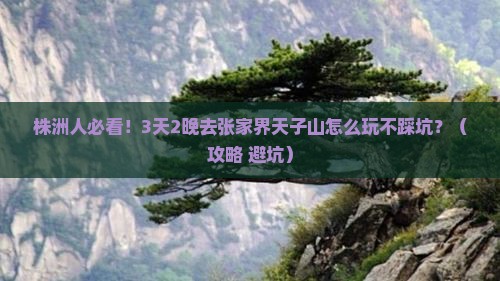 株洲去张家界天子山团体旅游