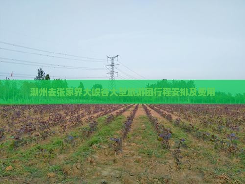 潮州去张家界大峡谷大型旅游团
