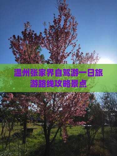 温州到张家界大峡谷一日