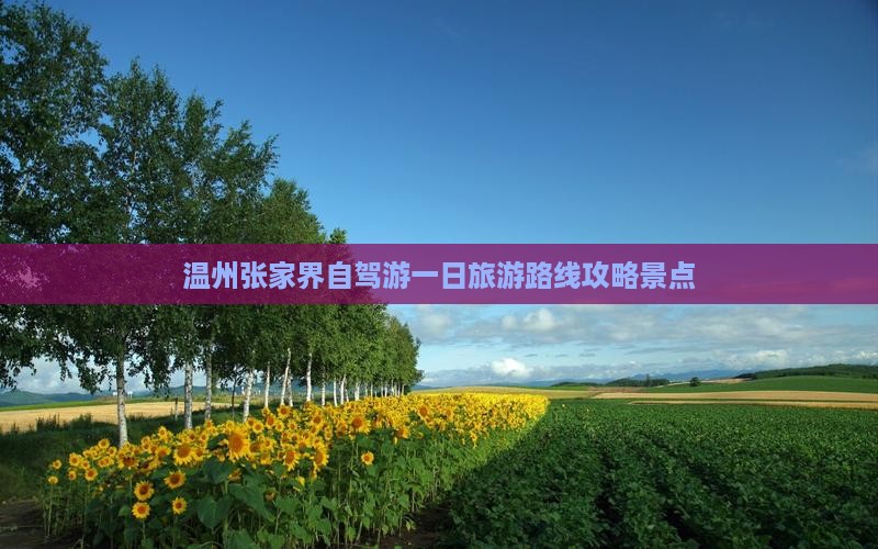温州到张家界大峡谷一日