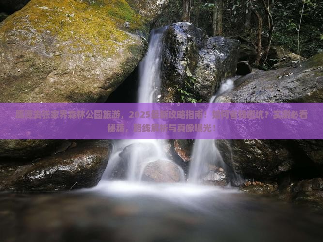 鹰潭去张家界森林公园旅游