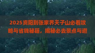 资阳到张家界天子山景点