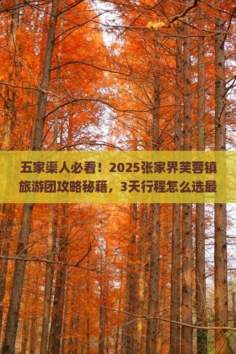 五家渠去张家界芙蓉镇大型旅游团