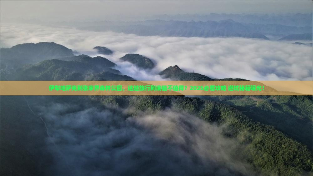 伊犁哈萨克到张家界森林公园大型旅游团