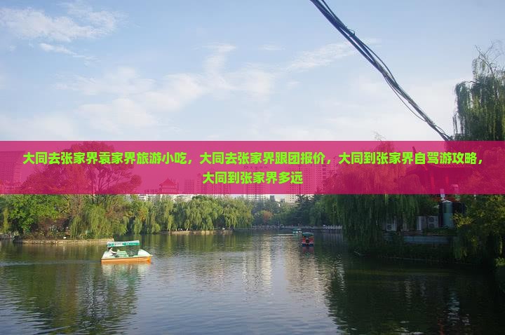 大同去张家界袁家界旅游小吃