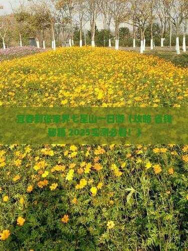 宜春到张家界七星山一日