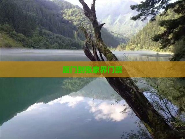 厦门到张家界门票