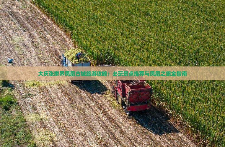 大庆去张家界凤凰古城哪里玩