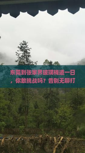 东莞到张家界玻璃栈道一日