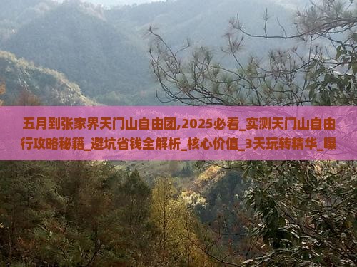 五月到张家界天门山自由团