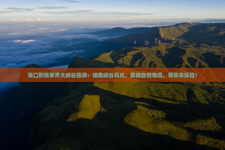 海口到张家界大峡谷旅游