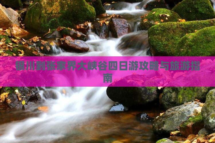 银川到张家界大峡谷四日游