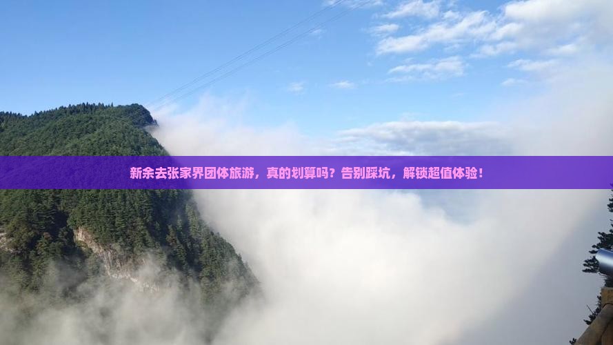 新余去张家界团体旅游