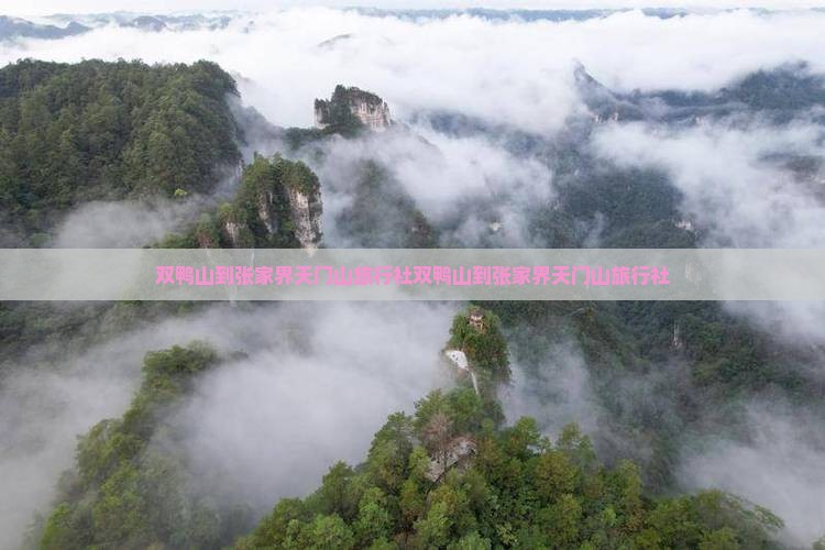 双鸭山到张家界天门山旅行社