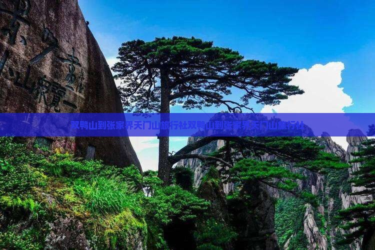 双鸭山到张家界天门山旅行社