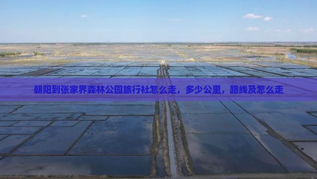 朝阳到张家界森林公园旅行社