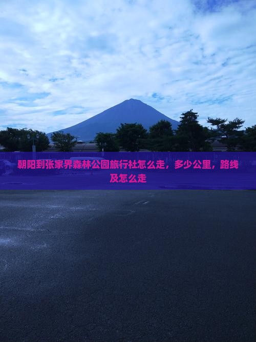 朝阳到张家界森林公园旅行社