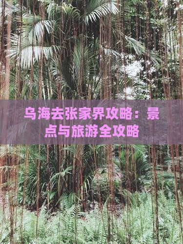 乌海市去张家界攻略