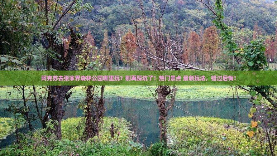 阿克苏去张家界森林公园哪里玩