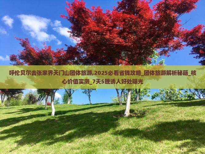 呼伦贝尔去张家界天门山团体旅游