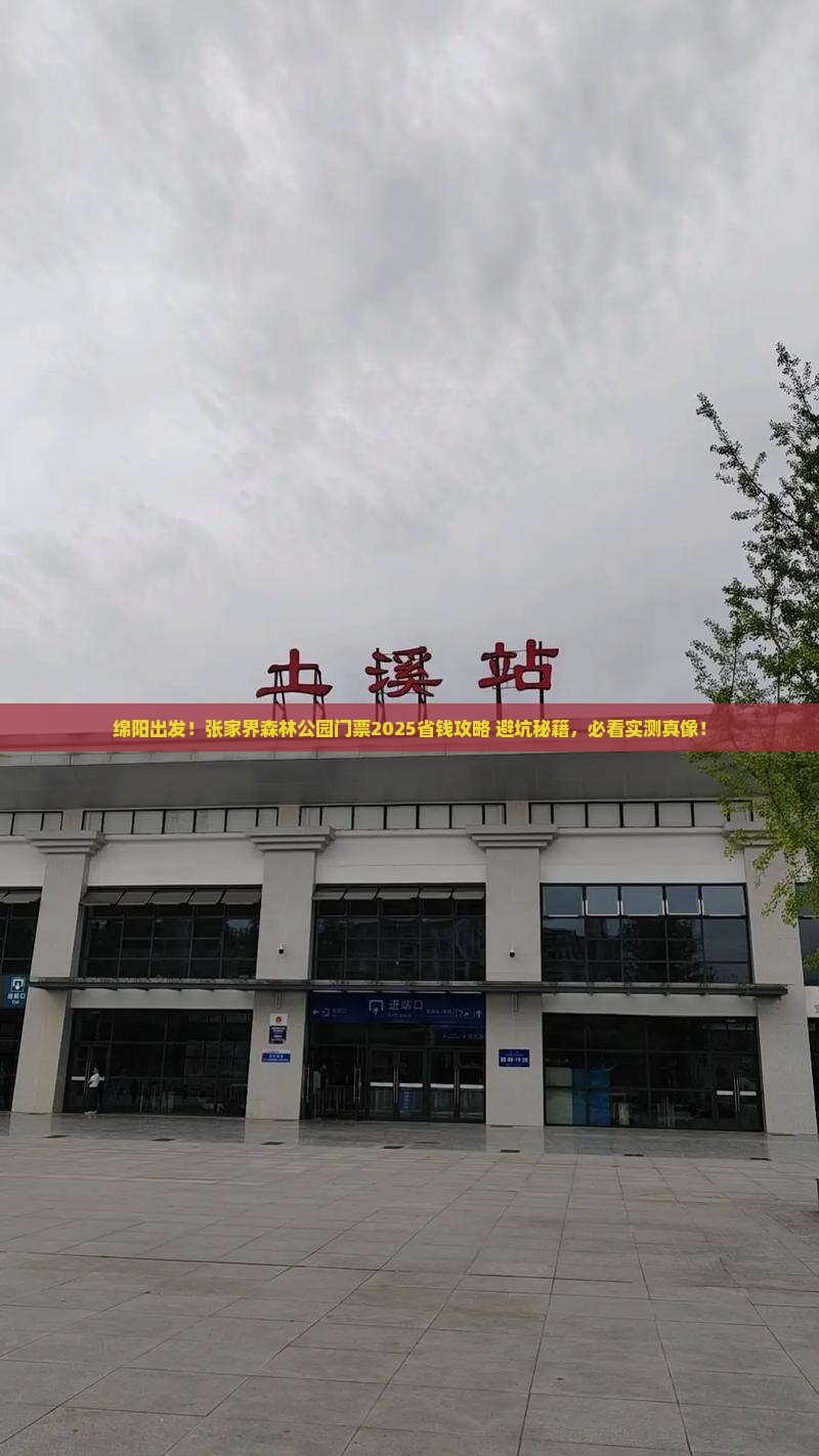 绵阳到张家界森林公园门票