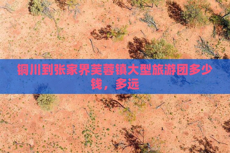 铜川到张家界芙蓉镇大型旅游团