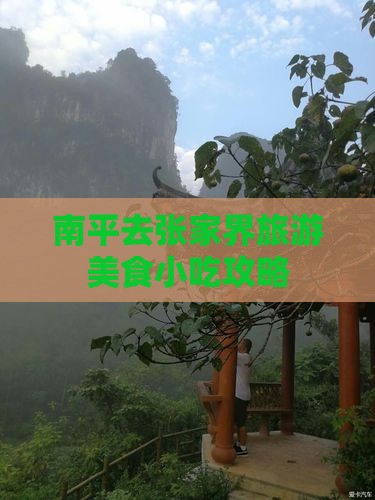 南平去张家界旅游小吃