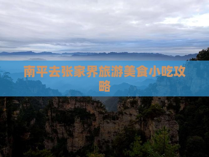 南平去张家界旅游小吃