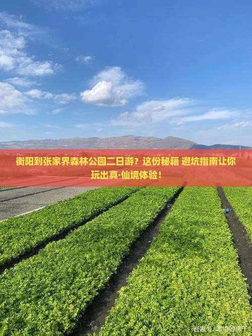 衡阳到张家界森林公园二日游