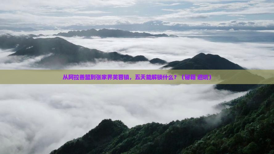 阿拉善盟去张家界芙蓉镇五日游