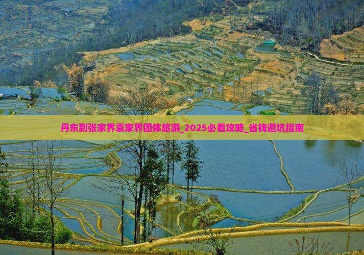 丹东到张家界袁家界团体旅游