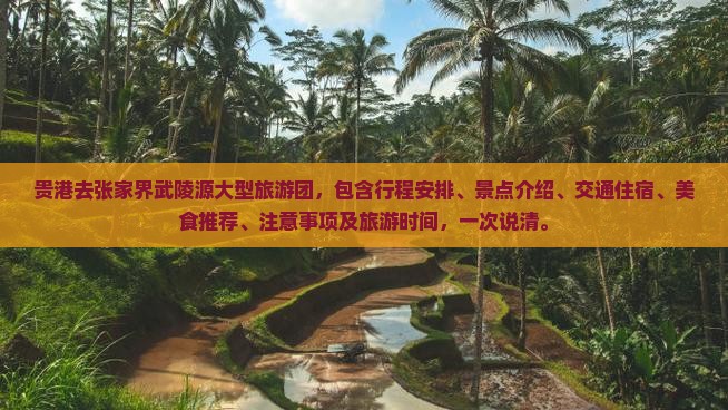 贵港去张家界武陵源大型旅游团