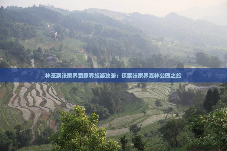 林芝去张家界袁家界哪里玩