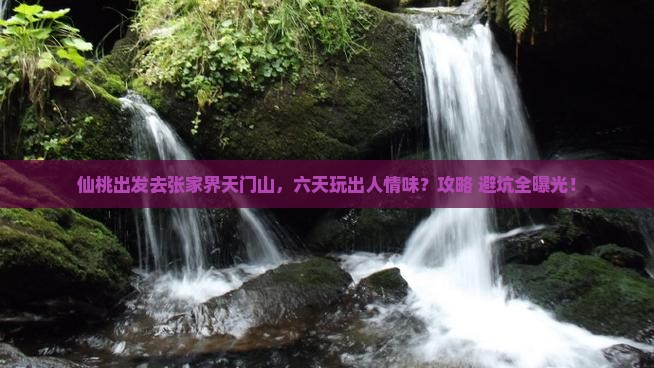 仙桃到张家界天门山六日游