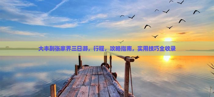 大丰到张家界三日游
