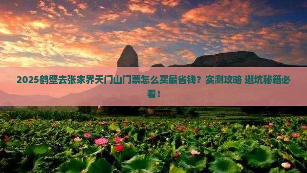 鹤壁去张家界天门山门票