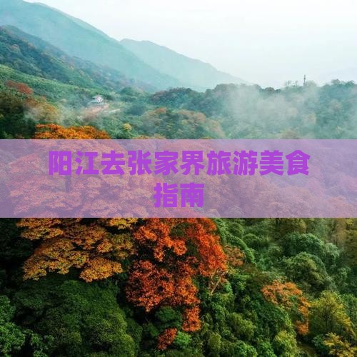 阳江去张家界旅游小吃