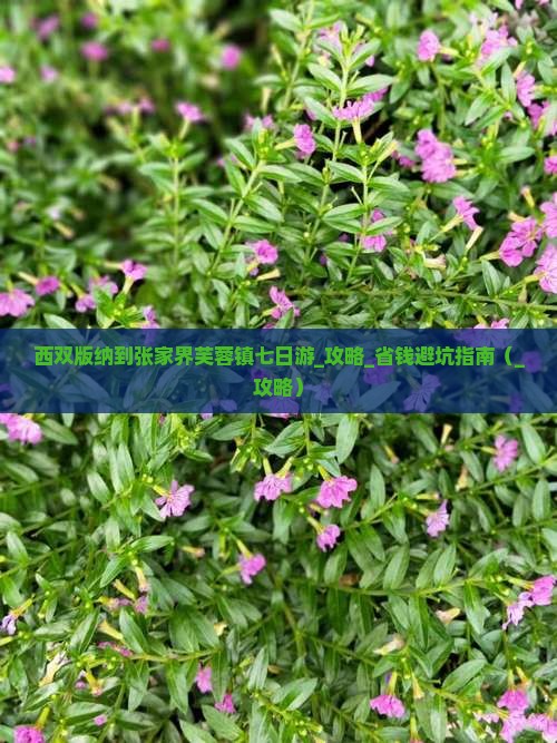 西双版纳到张家界芙蓉镇七日游