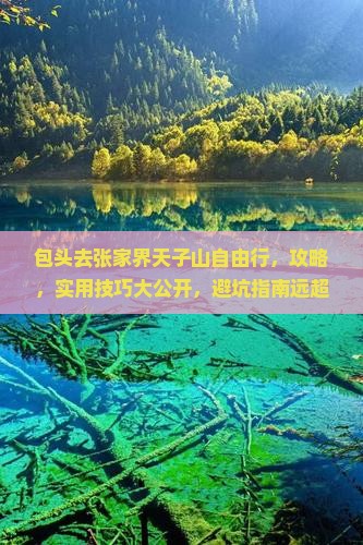 包头去张家界天子山自由行