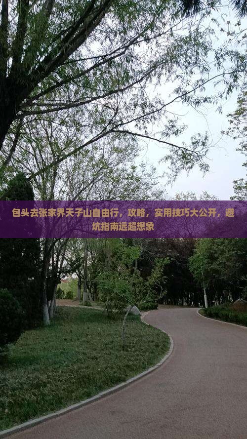 包头去张家界天子山自由行