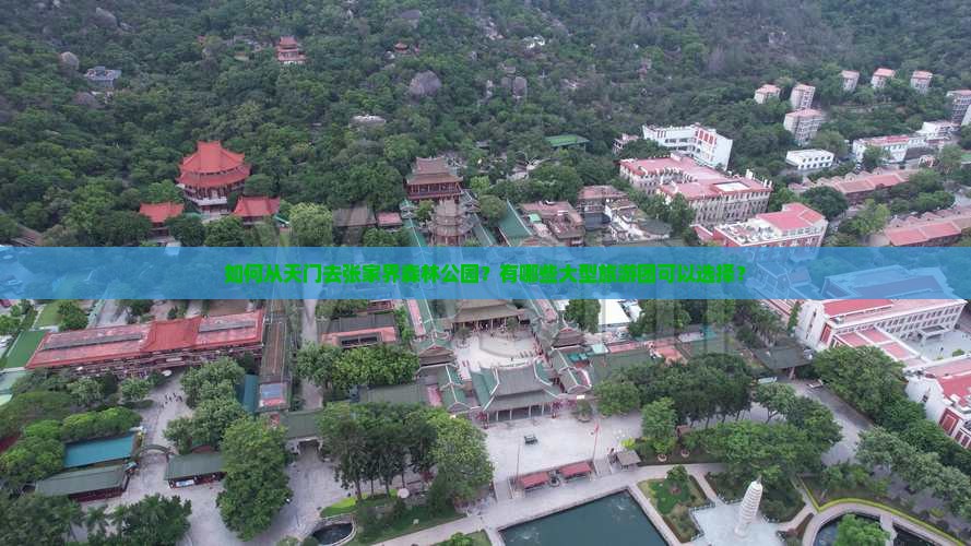 如何从天门去张家界森林公园？有哪些大型旅游团可以选择？