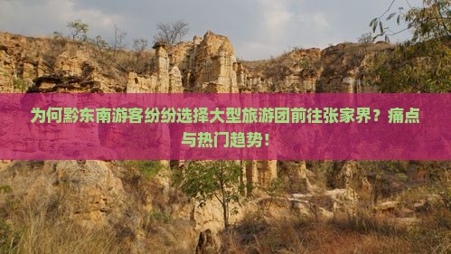 为何黔东南游客纷纷选择大型旅游团前往张家界？痛点与热门趋势！