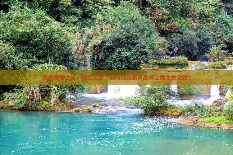 探寻美食之旅：蚌埠出发，如何在张家界森林公园大快朵颐？
