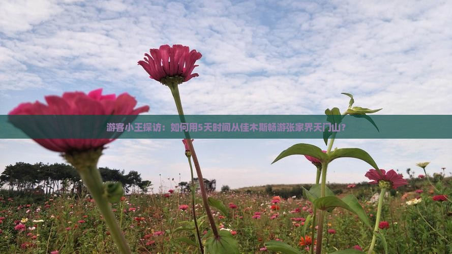 游客小王探访：如何用5天时间从佳木斯畅游张家界天门山？