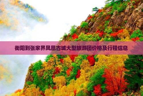 衡阳到张家界凤凰古城大型旅游团价格及行程信息