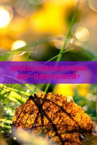 如何规划从资阳到张家界玻璃栈道的一日游或半日游行程？