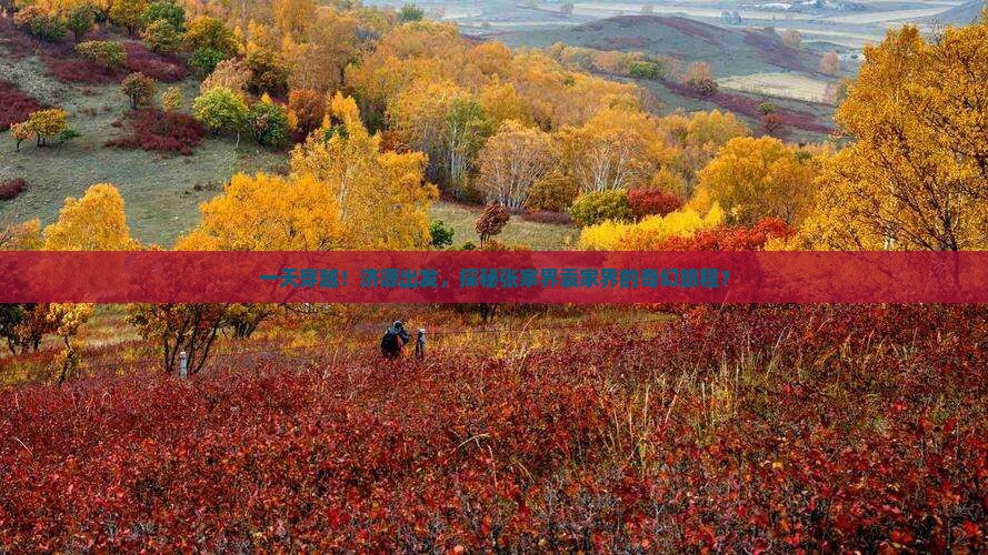 一天穿越！济源出发，探秘张家界袁家界的奇幻旅程？