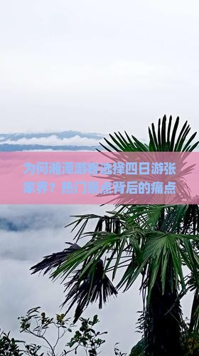 为何湘潭游客选择四日游张家界？热门景点背后的痛点与解决方案！